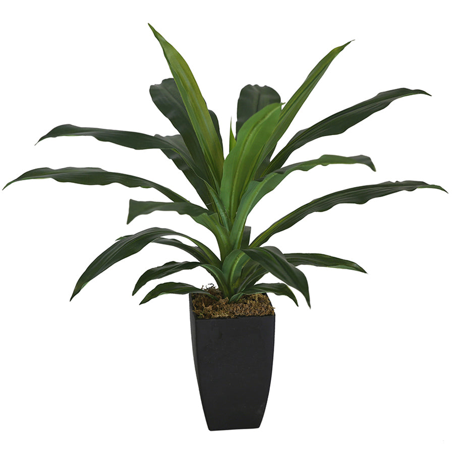 Potted Artificial Faux Janet Craig Dracaena 58cm
