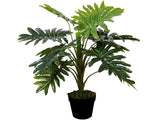 Artificial Janet Craig Dracaena in Pot 70cm