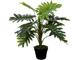 Artificial Janet Craig Dracaena in Pot 70cm