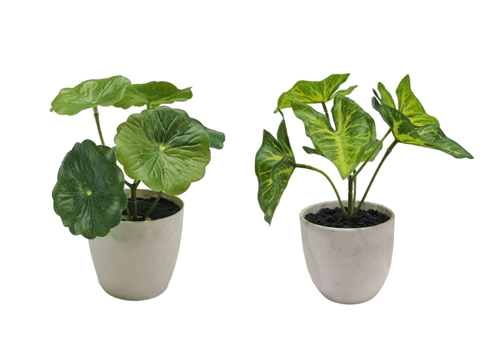 Set 2 Artificial Taro & Lotus Plant In Plastic Pot 7x15cm