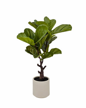 Artificial Real Touch Fiddleleaf Tree 75cm