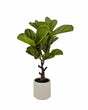 Artificial Real Touch Fiddleleaf Tree 75cm