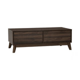Hirado Modern Solid Wood Coffee Table