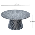 TRIDENT Mother of Pearl Artisan Coffee Table