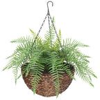 Hanging fern plant in a woven basket on a white background