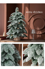 Snow-Covered 55cm Mini Christmas Tree