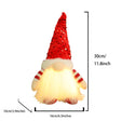 Light-Up Christmas Gnome Duo Decoration