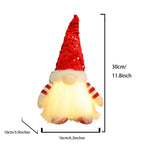 Light-Up Christmas Gnome Duo Decoration