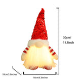 Light-Up Christmas Gnome Duo Decoration
