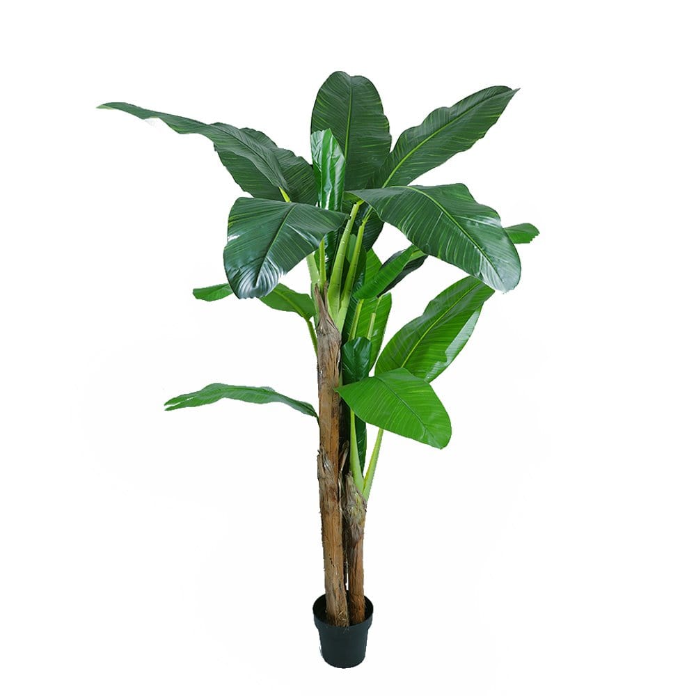 Artificial banana plant with large green leaves on a white background
