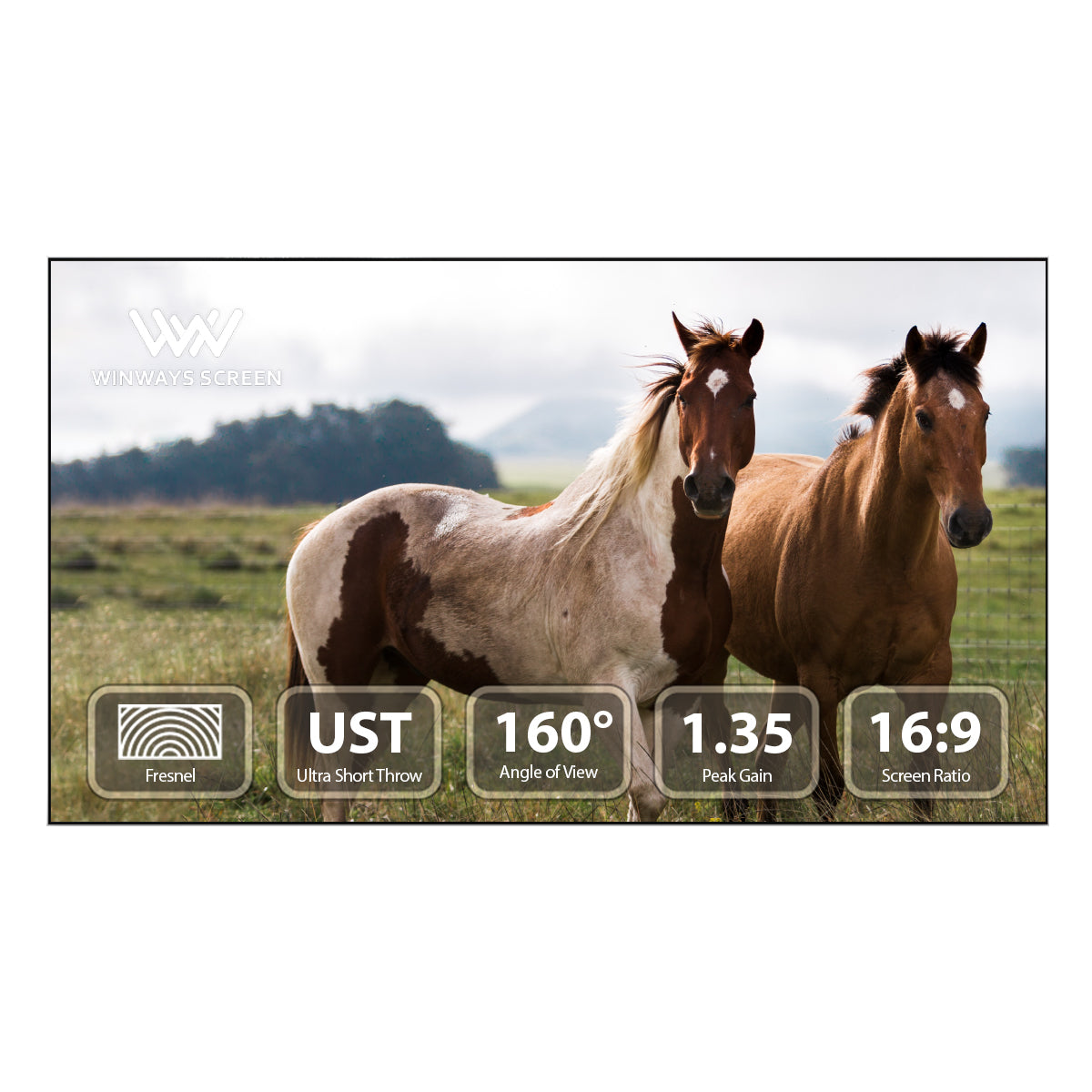 Winways UST Throw ALR 120'' Fresnel Screen