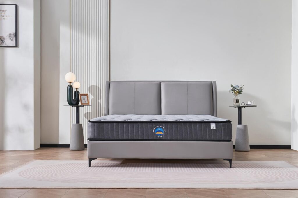 Aster Hybrid Euro Top Mattress - Premium Comfort
