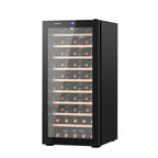 Devanti 66-Bottle Wine Cooler