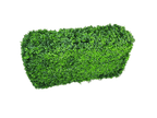 Deluxe Portable Buxus (Bright) UV Resistant 100cm Long x 50cm High x 25cm Wide